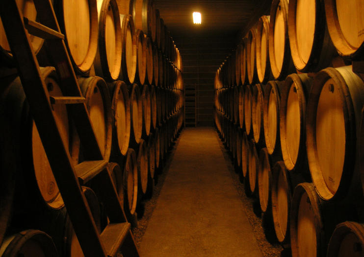 Wine Lover's Guide to Burgundy